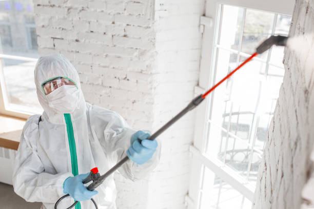 Best Emergency Mold Remediation  in West Wyoming, PA