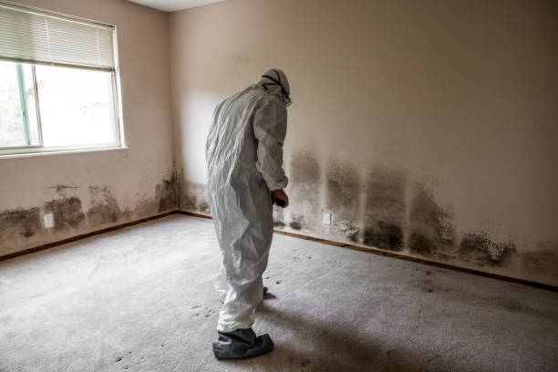 Best Biohazard Mold Removal  in West Wyoming, PA